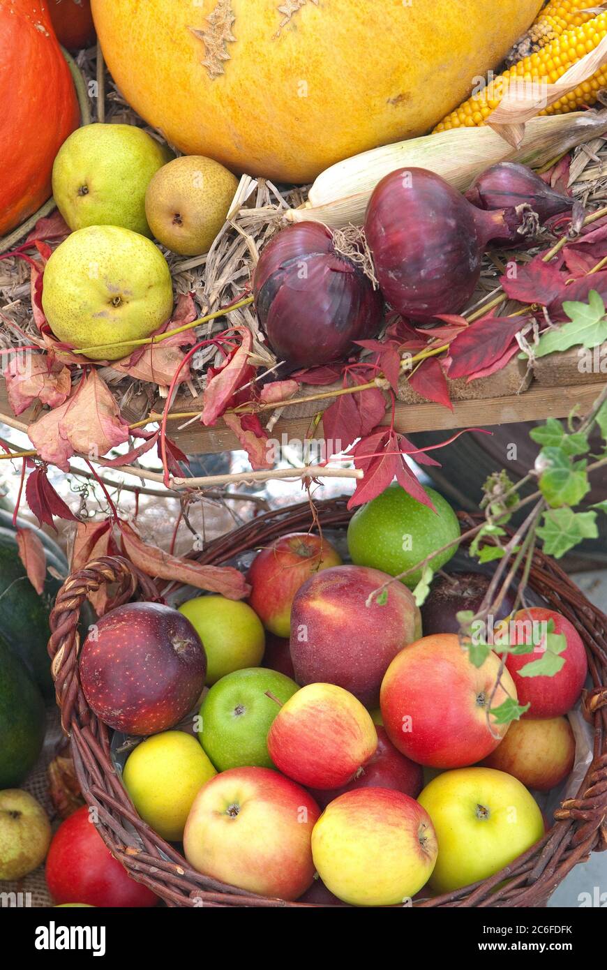 Ernte, Apfel , Malus domestica, Kuerbis, CucurbitaZwiebel, Ernte, Apfel, Malus domestica, Kürbis, Cucurbita Zwiebel Stockfoto