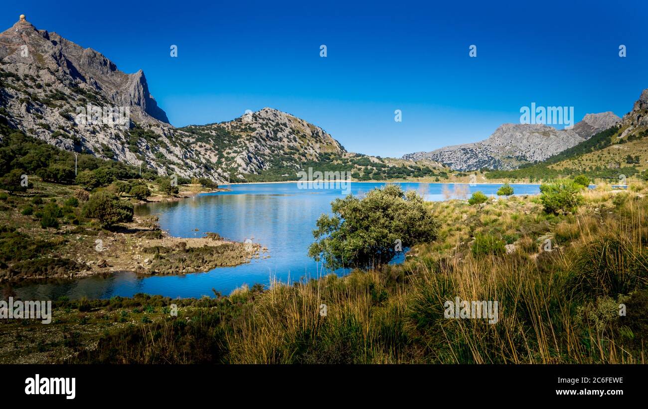 Blick über den idyllischen Stausee embassament de cuber mit Gräsern im Vordergrund und den Berg puig Major im Hintergrund Stockfoto
