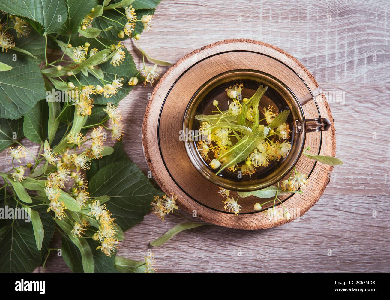 Tilia platyphyllos bekannt als großblättrige Linden Kräutertee aus einer frisch gepflückten Blüten mit Baumblättern und Ästen mit Blüten für Deko Stockfoto