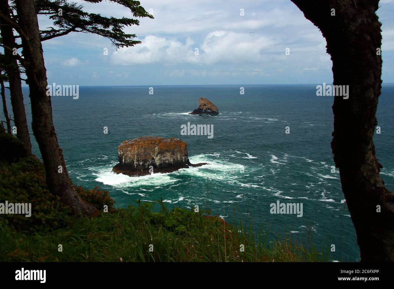 Felsformation am Cape Meares State Park an der Küste von Oregon Stockfoto