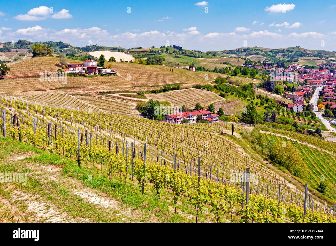 Weinberge von Matteo Correggia im Weingebiet Roero des Piemont, Italien Stockfoto