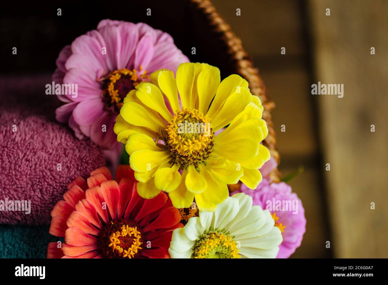 Stapel von Handtüchern und Zinnia Blumen. Stapel Handtücher auf Holzhintergrund Stockfoto