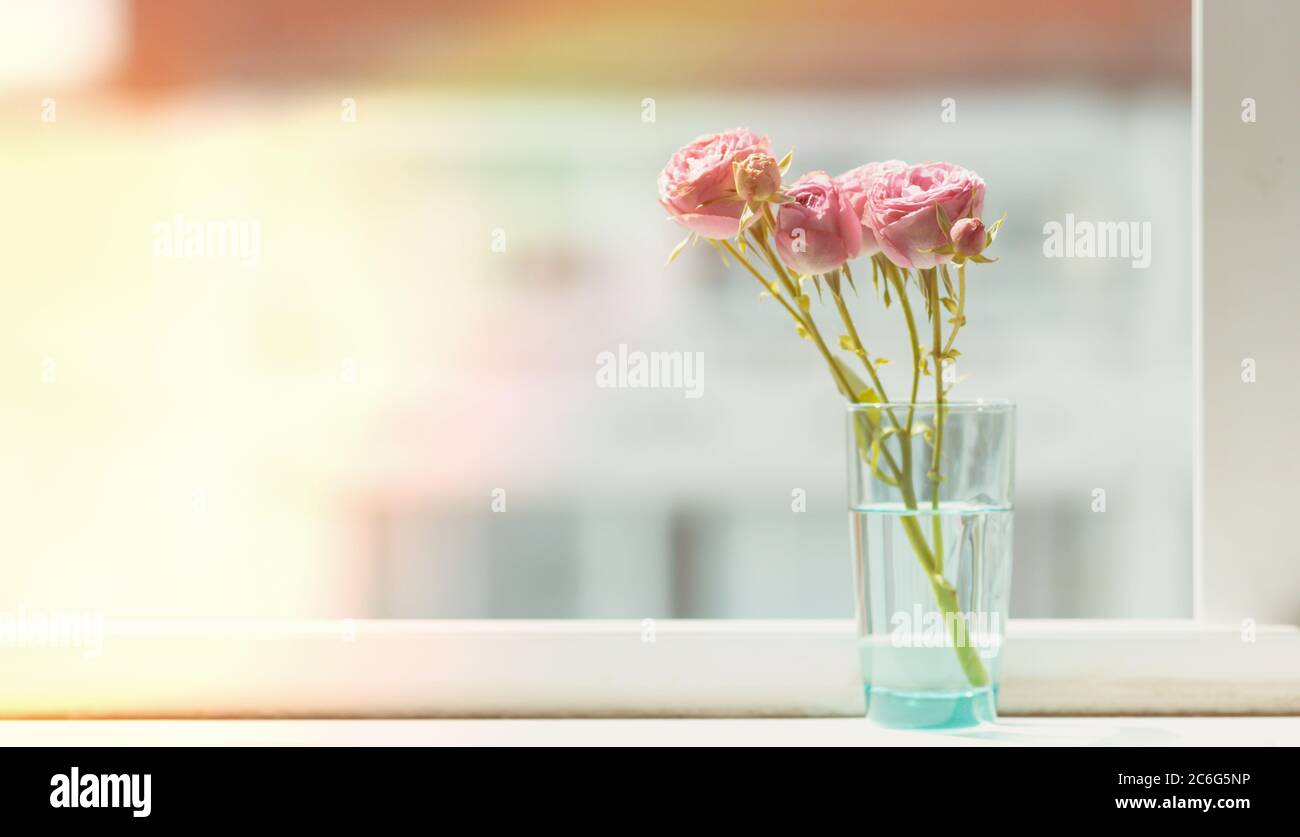 Rosa Rosen in einer Vase auf der Fensterbank, mit Sonnenschein. Stockfoto