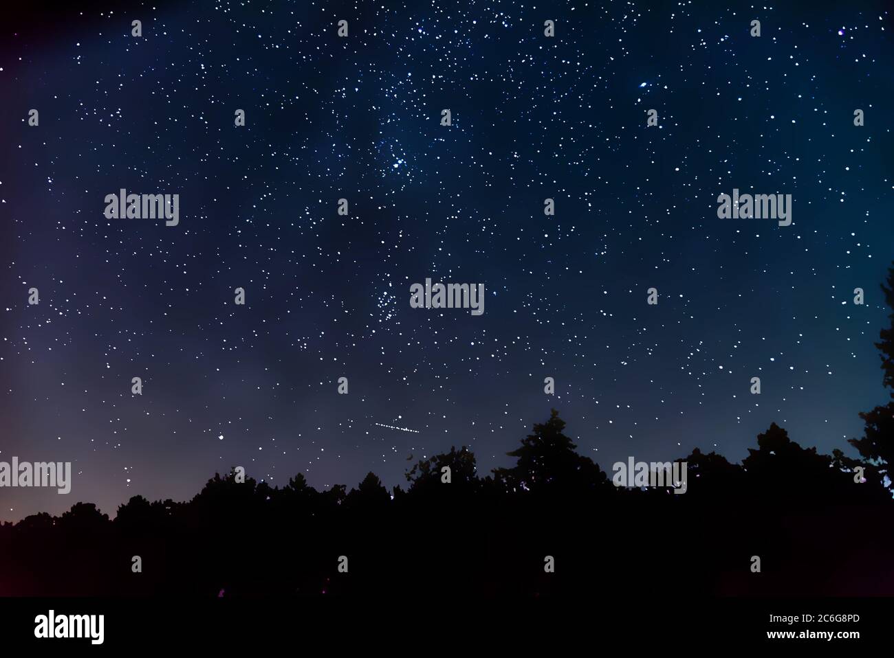 Milchstraße Galaxie in Sternenhimmel und Waldbaum Silhouetten, Deutschland, Europa Stockfoto