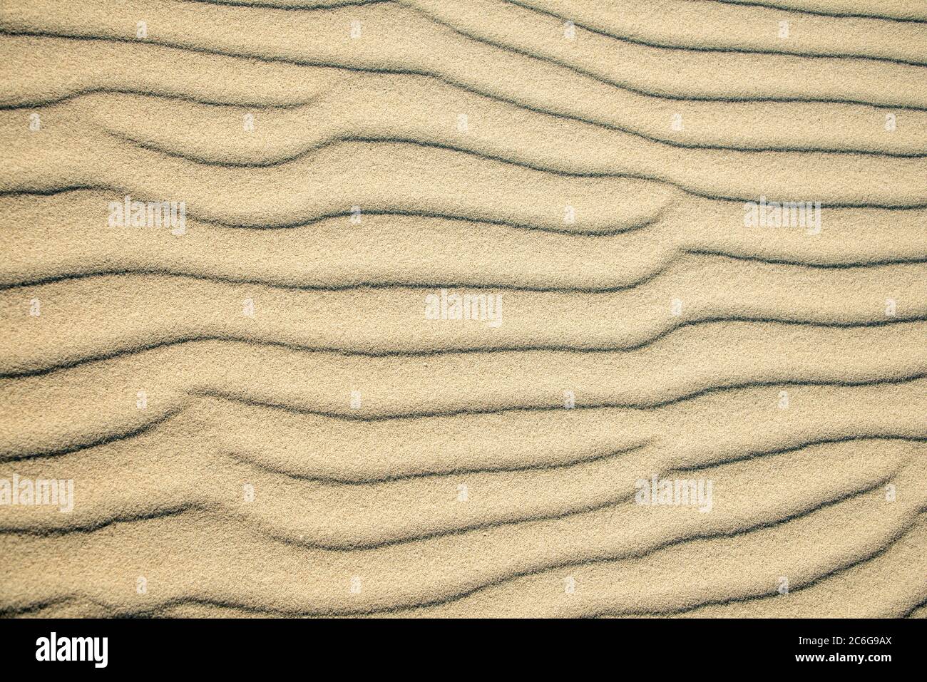 Wellenmuster in hellem Sand, Sandfly Bay, Dunedin, Otago, Otago Peninsula, Südinsel, Neuseeland Stockfoto