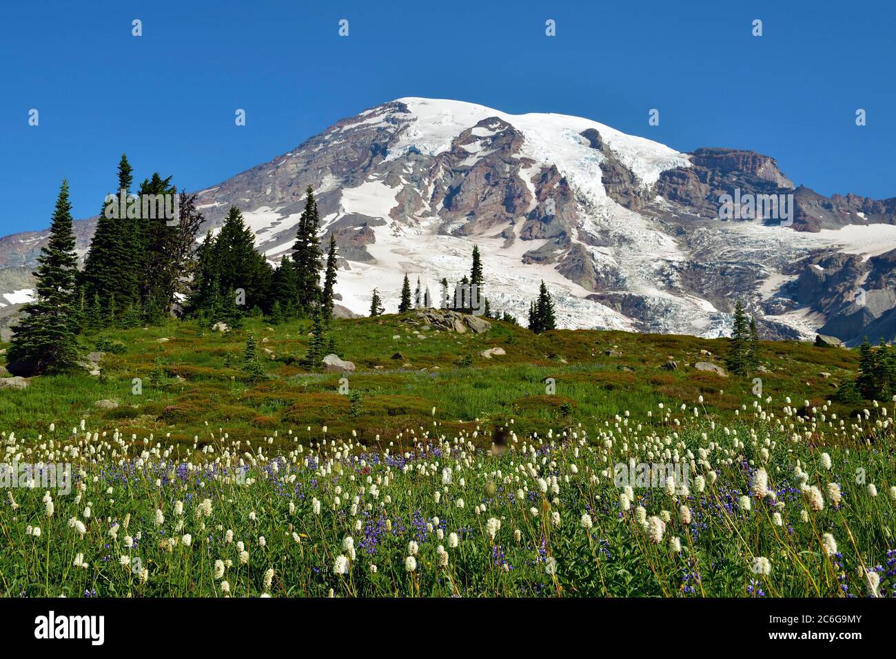 Gipfel Mount Rainier, Mount Rainier Nationalpark, Cascade Range, Cascade Mountains, Washington, Pazifischer Nordwesten, USA, Nordamerika Stockfoto