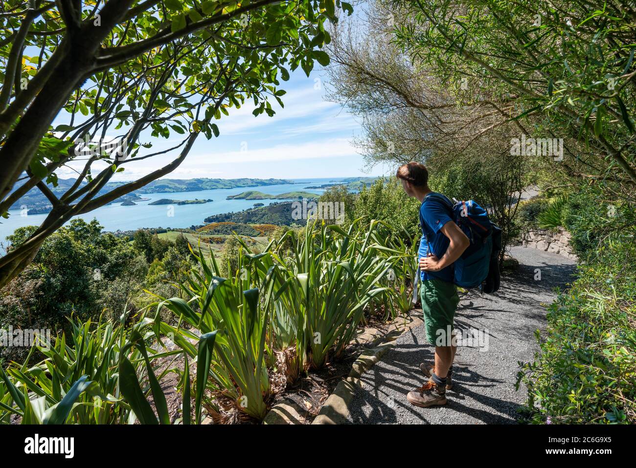 Junger Mann auf dem Weg in den Park, Blick auf Otago Halbinsel aus dem Park von Larnach Castle, Dunedin, Otago Halbinsel, Südinsel, Neuseeland Stockfoto
