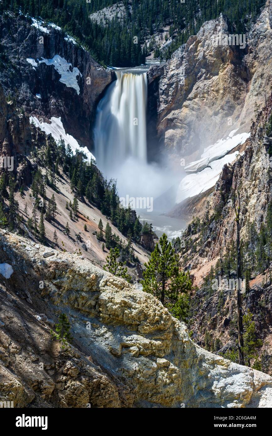 Lower Falls, Grand Canyon of Yellowstone, Yellowstone National Park, Wyoming, Nordamerika Stockfoto