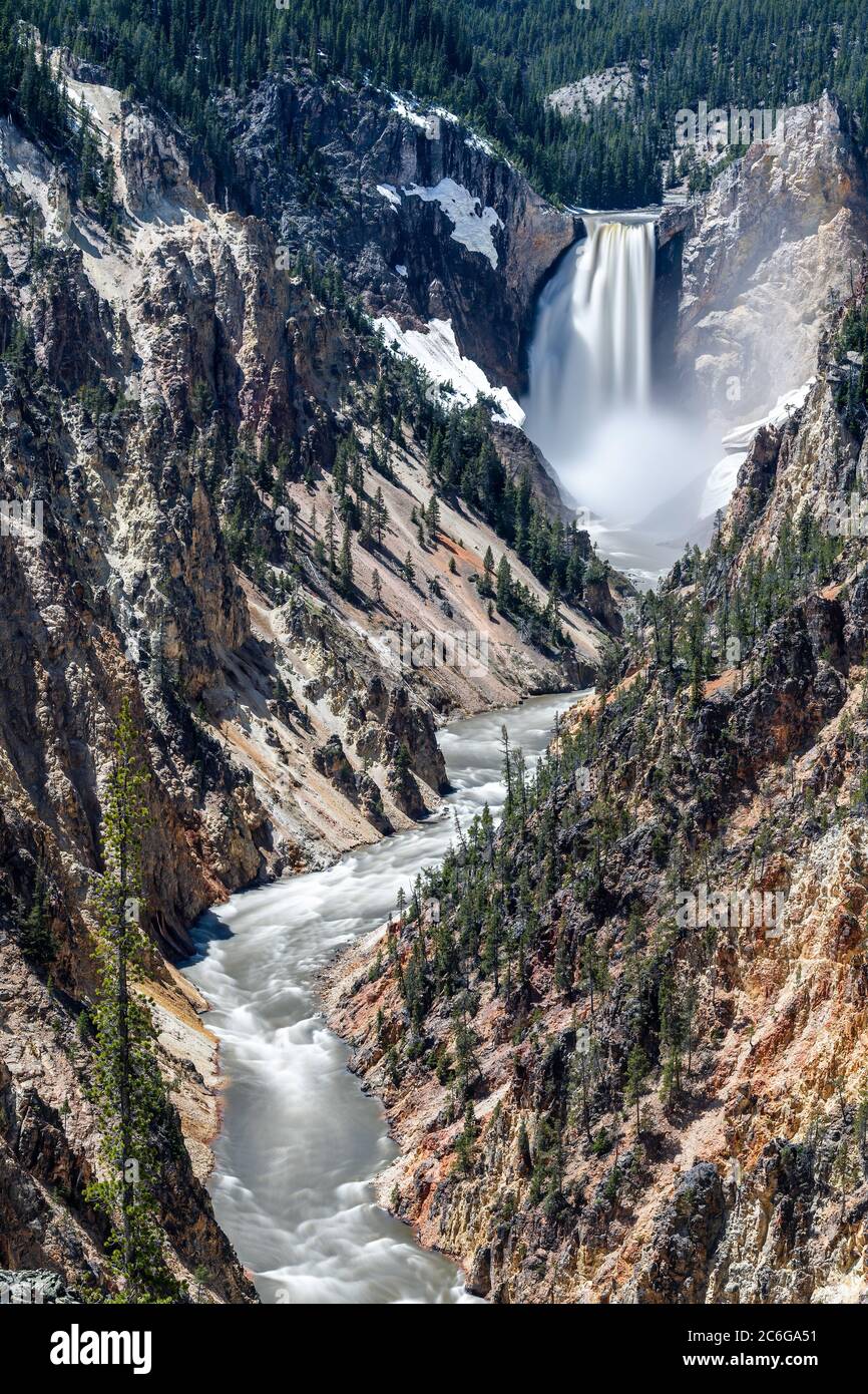 Lower Falls, Grand Canyon of Yellowstone, Yellowstone National Park, Wyoming, Nordamerika Stockfoto