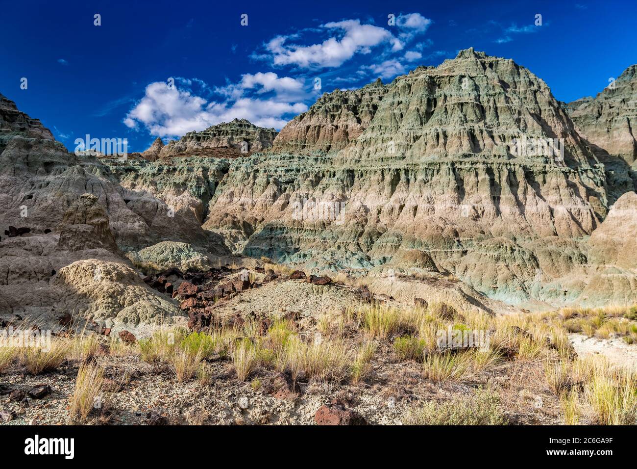 Blau-Becken, John Day Fossil Betten Nationaldenkmal, Oregon, USA Stockfoto