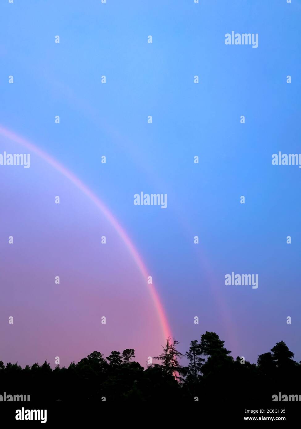 Doppelter Regenbogen über einer Reihe von silhouetted Bäumen. Stockfoto
