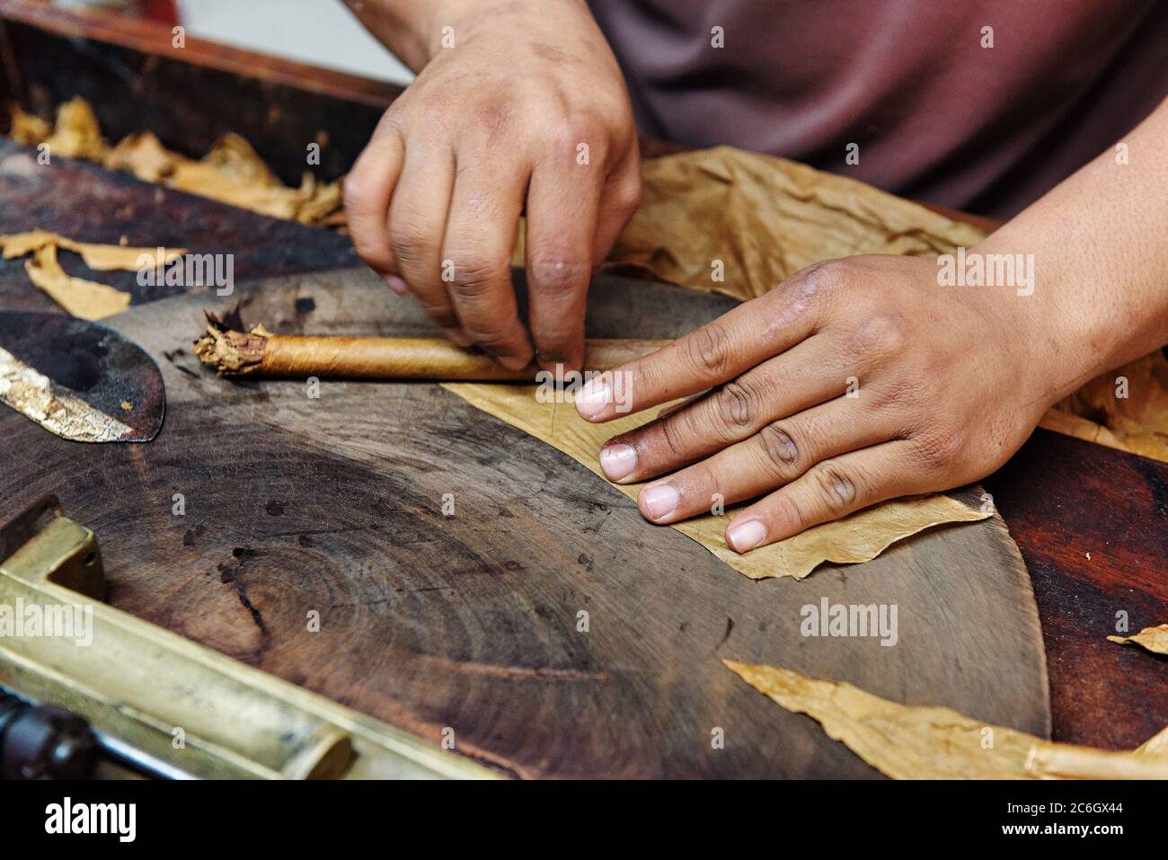 Nahaufnahme der Hände machen Zigarre aus Tabakblättern. Traditionelle Herstellung von Zigarren. Dominikanische Republik Stockfoto