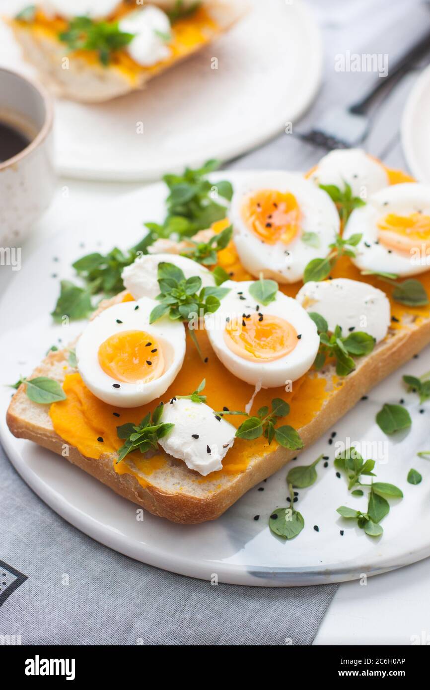 Geröstetes Brot mit Kürbismus, Frischkäse, grünen Zwiebeln, Kräutern und gekochten Eiern für gesundes Mittagessen oder Frühstück. Stockfoto