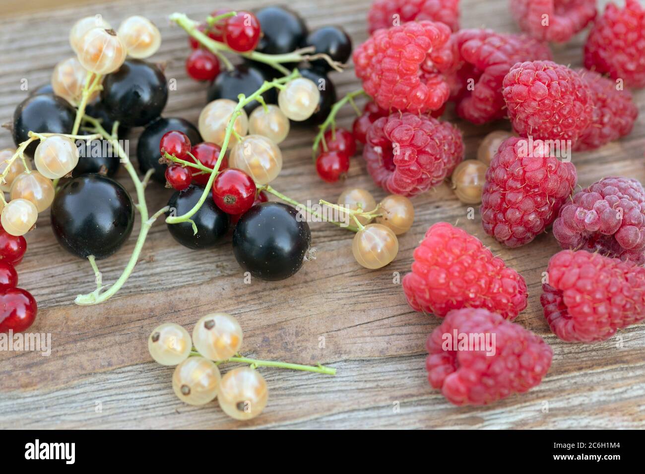 Beerenfrüchte wie Erdbeeren, rote Johannisbeeren, Himbeeren und schwarze Johannisbeeren auf Holzhintergrund Stockfoto