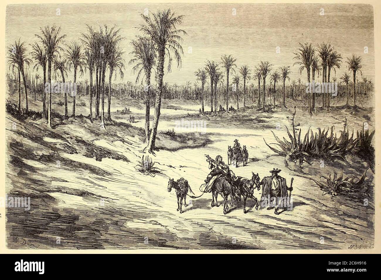 La Foret de Palmiers d'Elche [der Palmenwald von Elche, Valencia, Spanien] Seitenillustration aus dem Buch 'L'Espagne' [Spanien] von Davillier, Jean Charles, barón, 1823-1883; Doré, Gustave, 1832-1883; Veröffentlicht in Paris, Frankreich von Libreria Hachette, 1874 Stockfoto
