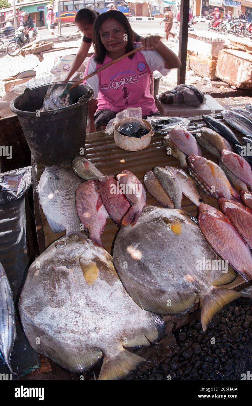 Frau, die Batfish verkauft. Wasser auftragen, um frisch zu bleiben, Platax sp, Market, Kalabahi, Alor, Indonesien Stockfoto
