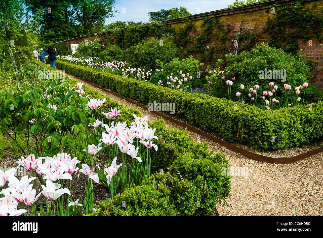 UK Gardens. Der Pfad. Stockfoto