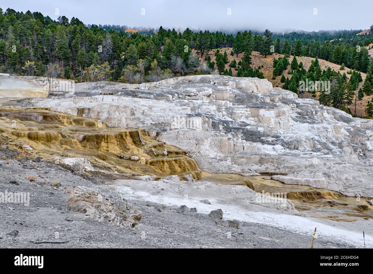 Minerva Terrasse, Yellowstone-Nationalpark, Wyoming, USA Stockfoto