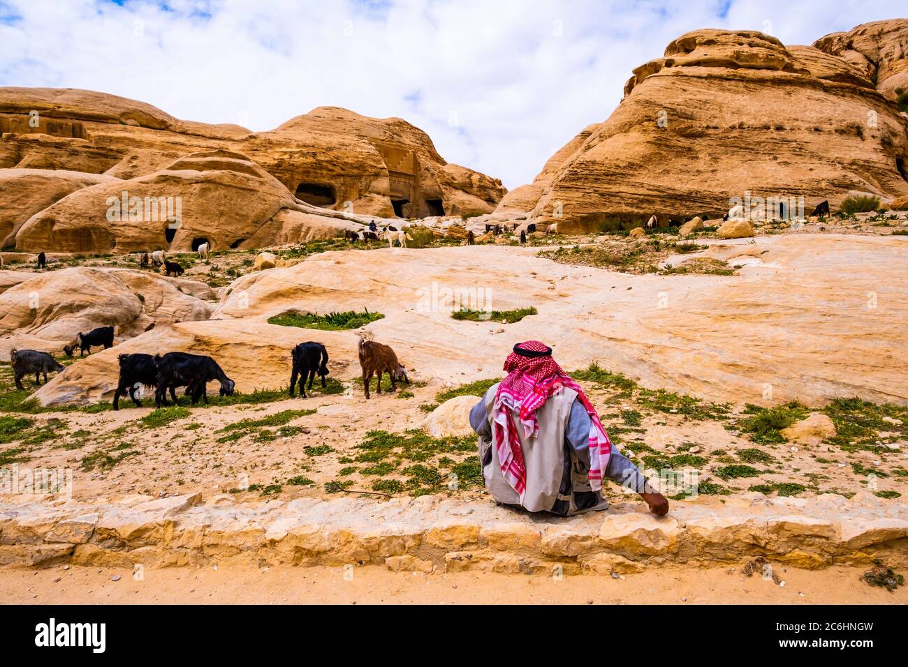 Beduinen hüten Ziegen im Tal in Jordanien Stockfoto