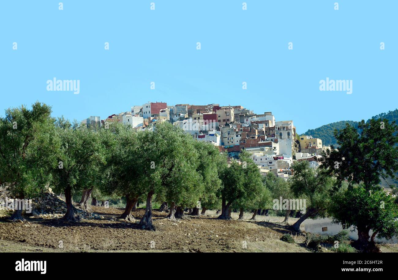 Marokko, Bergdorf Moulay Idriss Stockfoto