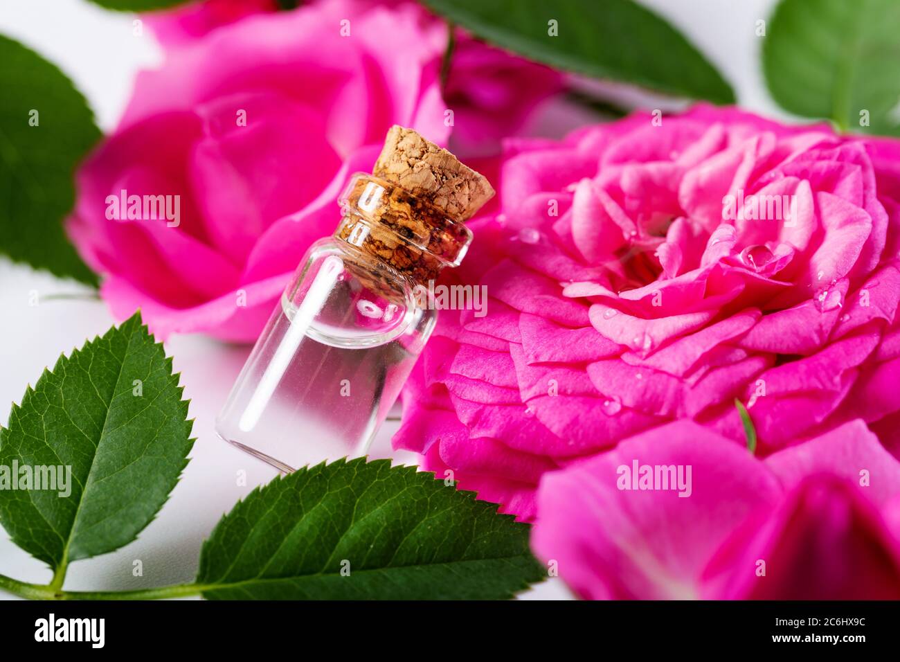 Aromatherapie - blumiges ätherisches Öl in der Flasche mit rosa Rosenblüten Stockfoto