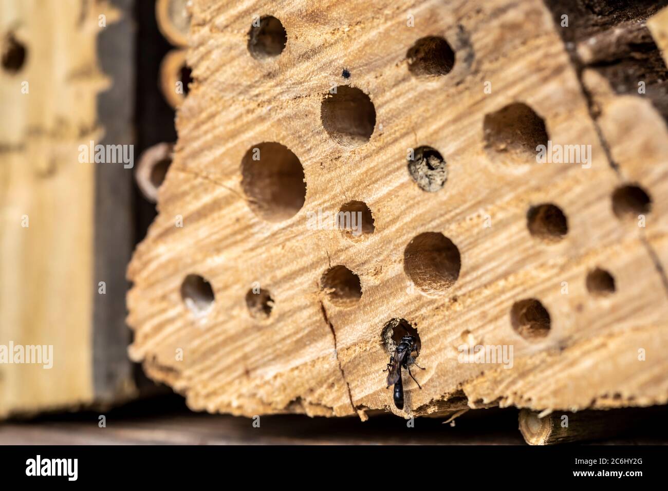 Selbstgebautes Insektenhotel im Garten Stockfoto