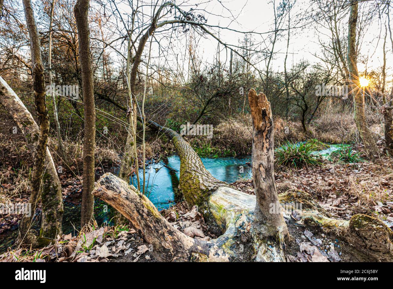 Italien Venetien Fontigo - Natur Oasi Fontane Bianche Stockfoto