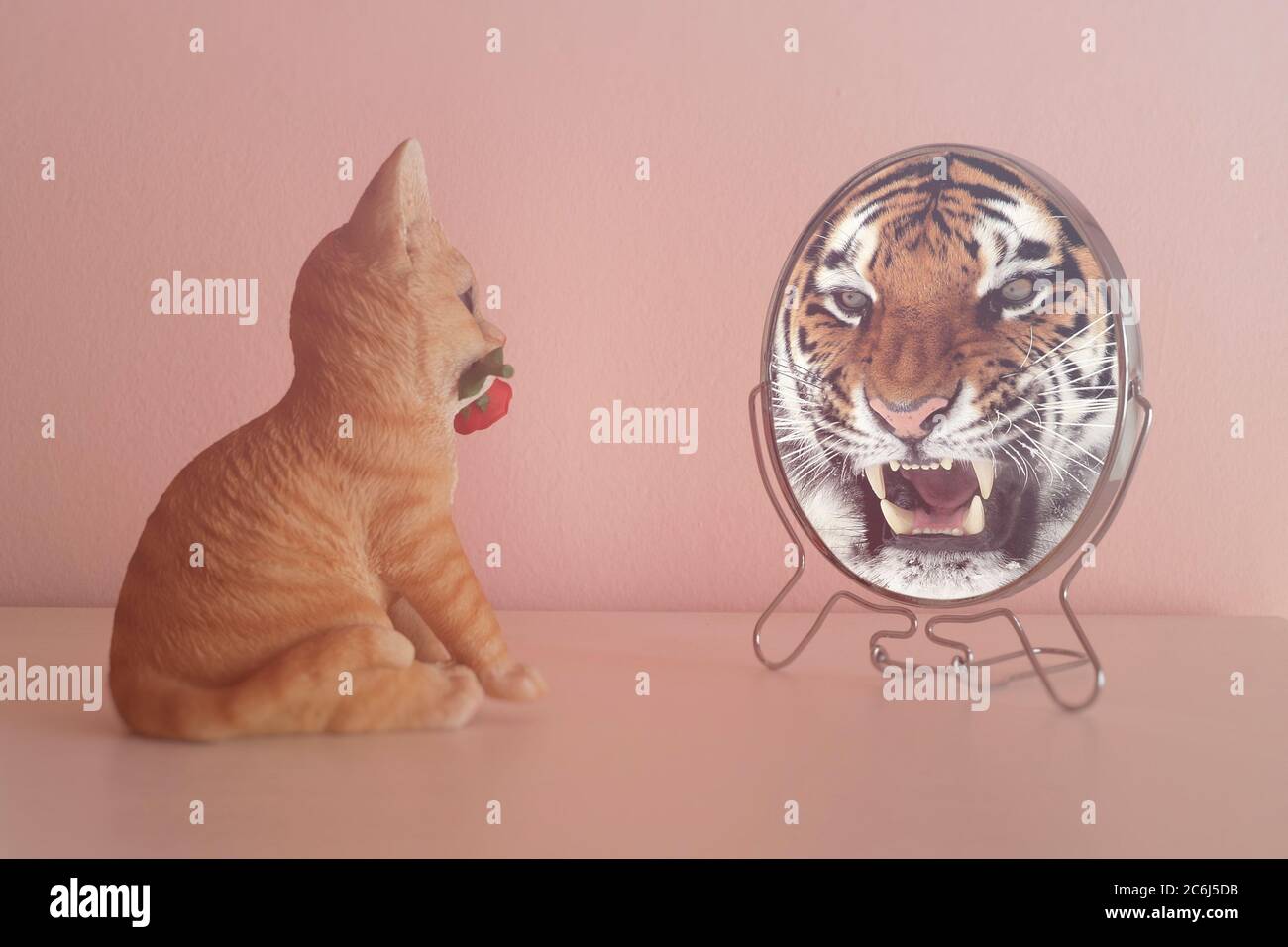 Kätzchen schaut in den Spiegel und sieht sich wie ein Tiger reflektiert. Selbstvertrauen-Konzept. Geschäftliches oder persönliches Wachstum. Stockfoto