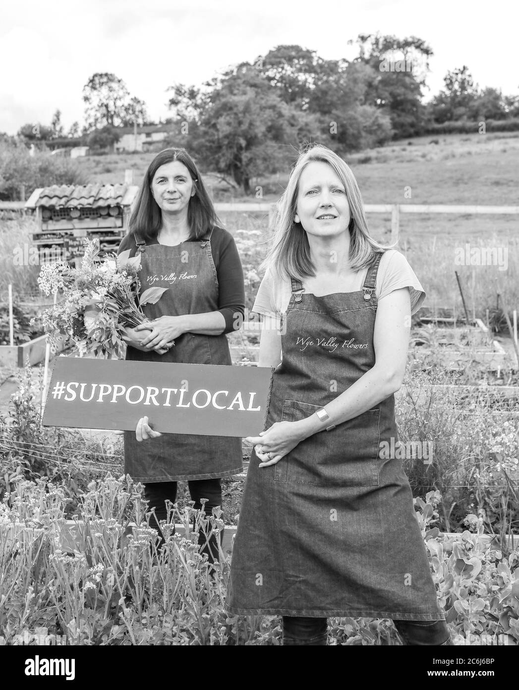Jo & Lucy - Wye Valley Flowers Stockfoto