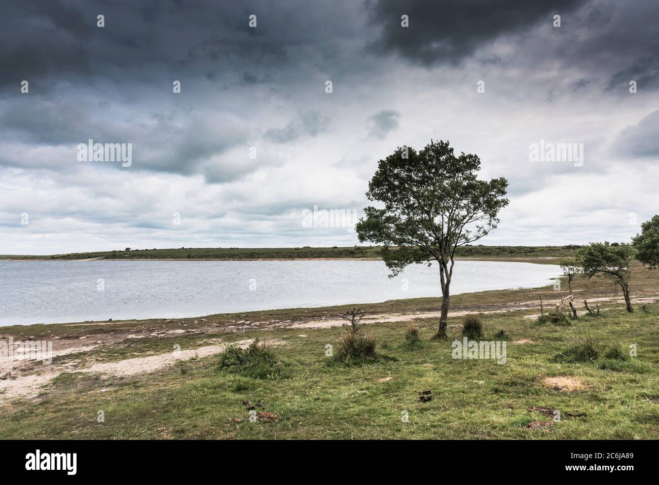 Das Windswept Colliford See am Bodmin Moor in Cornwall. Stockfoto