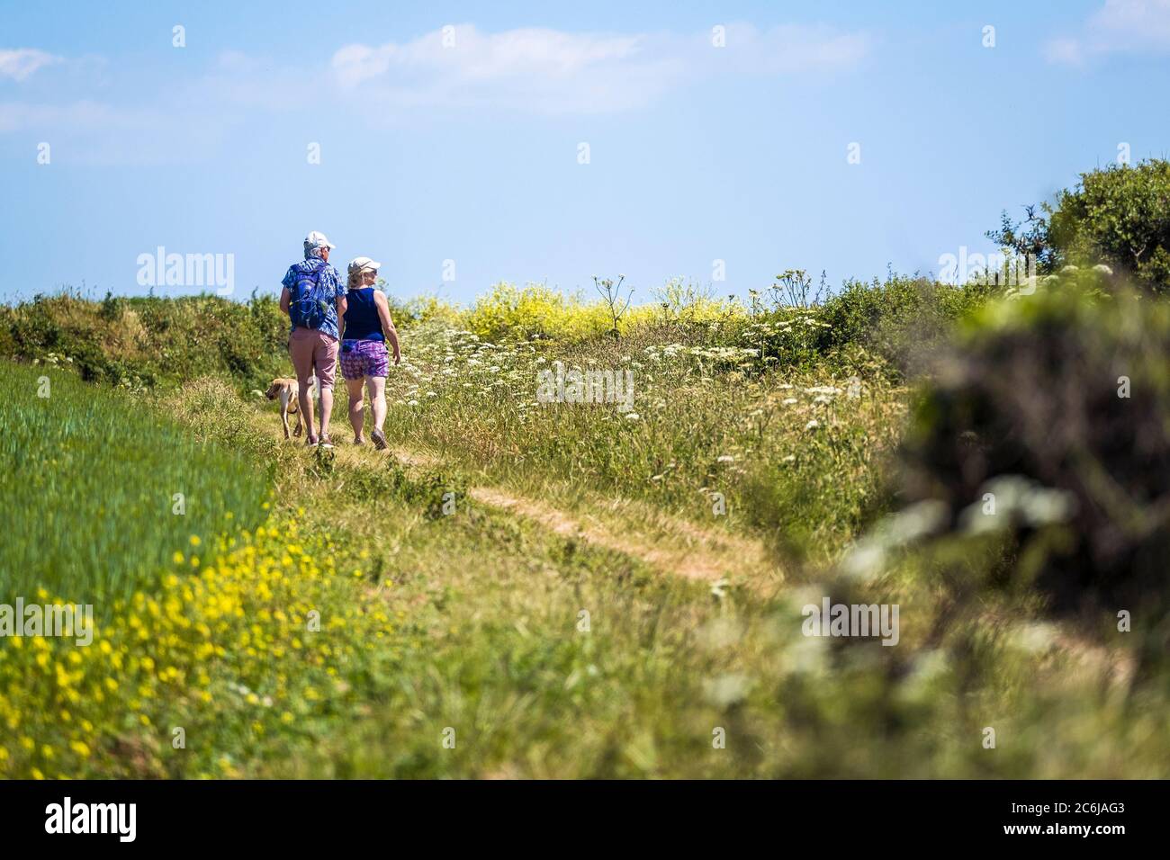 Wanderer auf einem Fußweg am Rande eines Feldes auf dem Ganzpunkt West in Newquay in Cornwall. Stockfoto