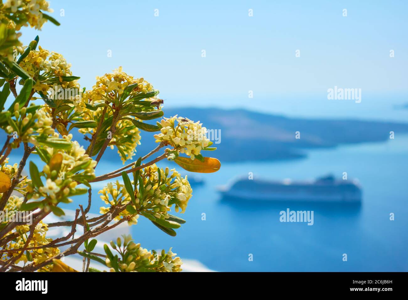 Landschaft mit dem Meer und Blumen im Vordergrund, Santorini Insel, Griechenland. Griechische Landschaft Stockfoto