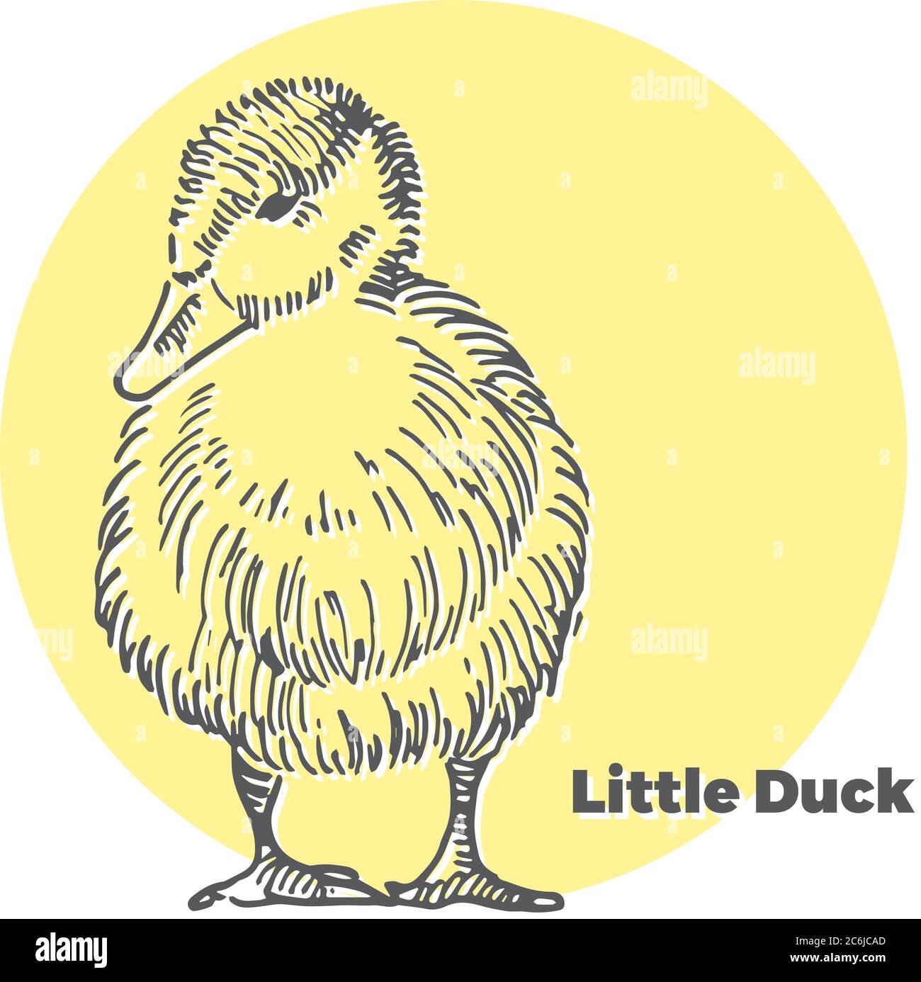 Handgezeichnete Vektor-Skizze von kleine süße Ente mit gelben runden Hintergrund. Stock Vektor
