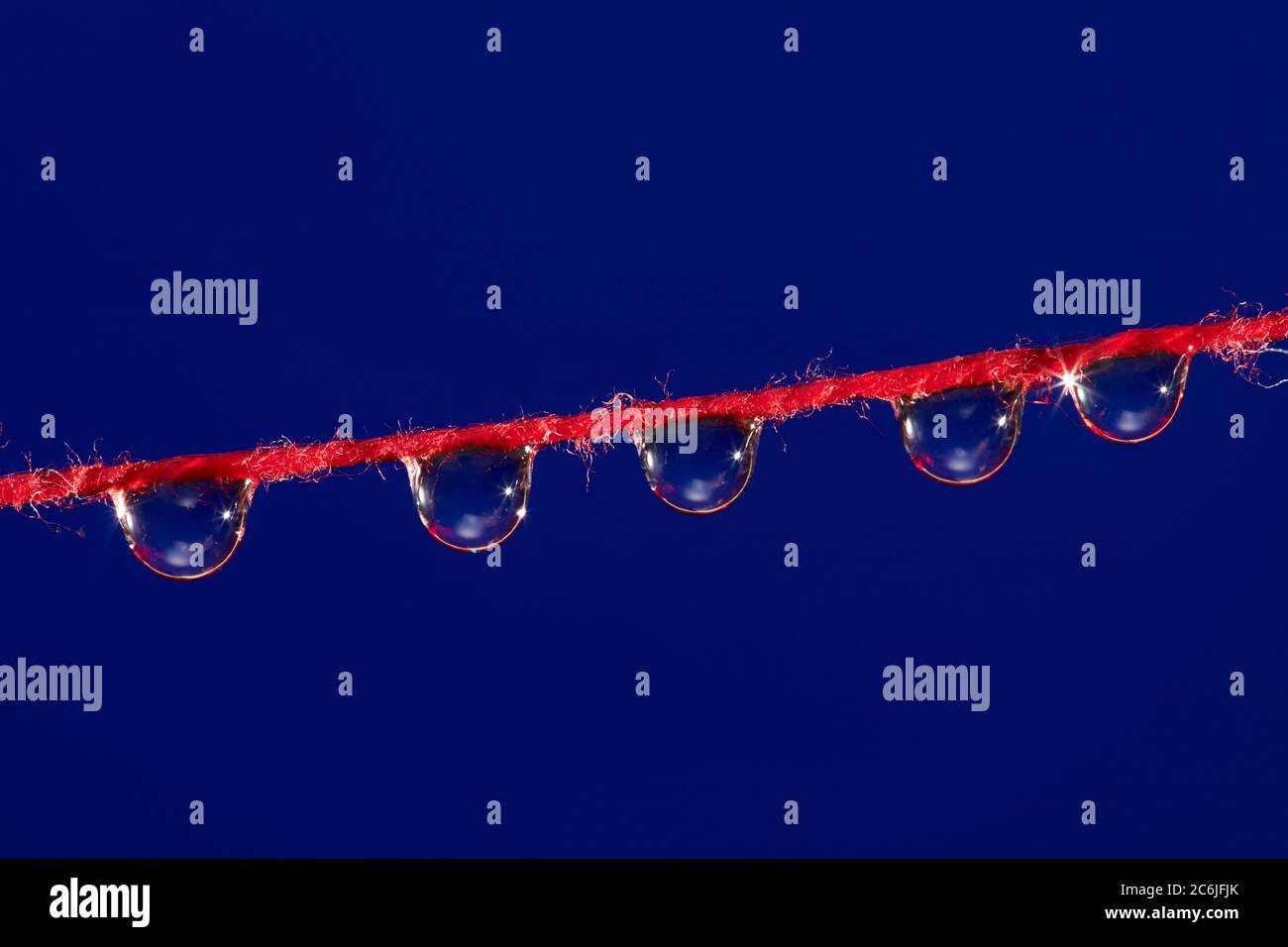 Fünf Wassertropfen hängen an einem dünnen roten Faden vor dunkelblauem Hintergrund. Stockfoto