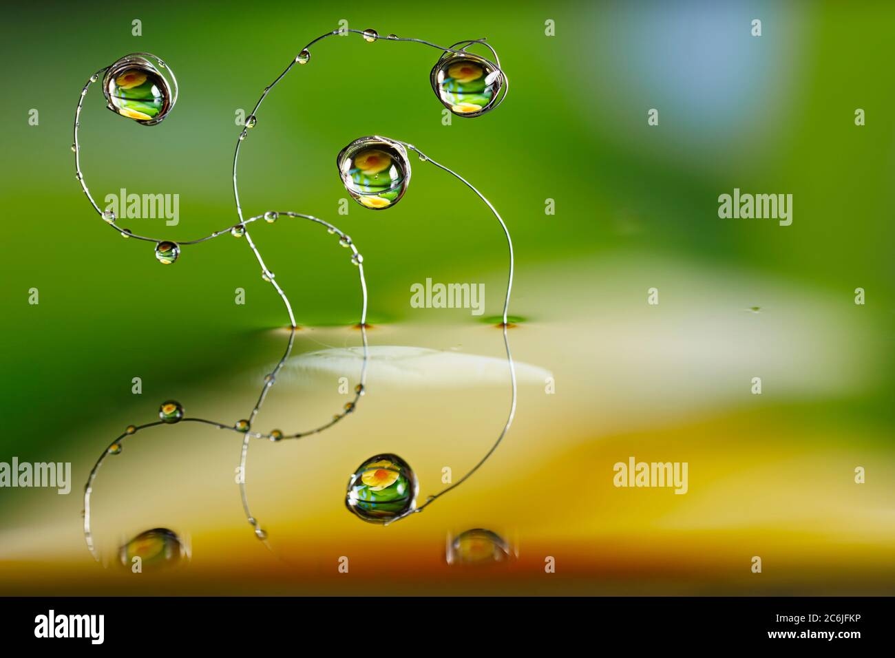 Wassertropfen hängen an gebogenen dünnen Metalldrähten, die vor grünem Hintergrund über der Oberfläche aus dem Wasser ragen. Stockfoto