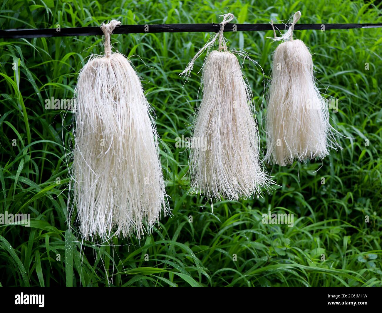 Kottiyoor tempel Fotos und Bildmaterial in hoher Auflösung Alamy
