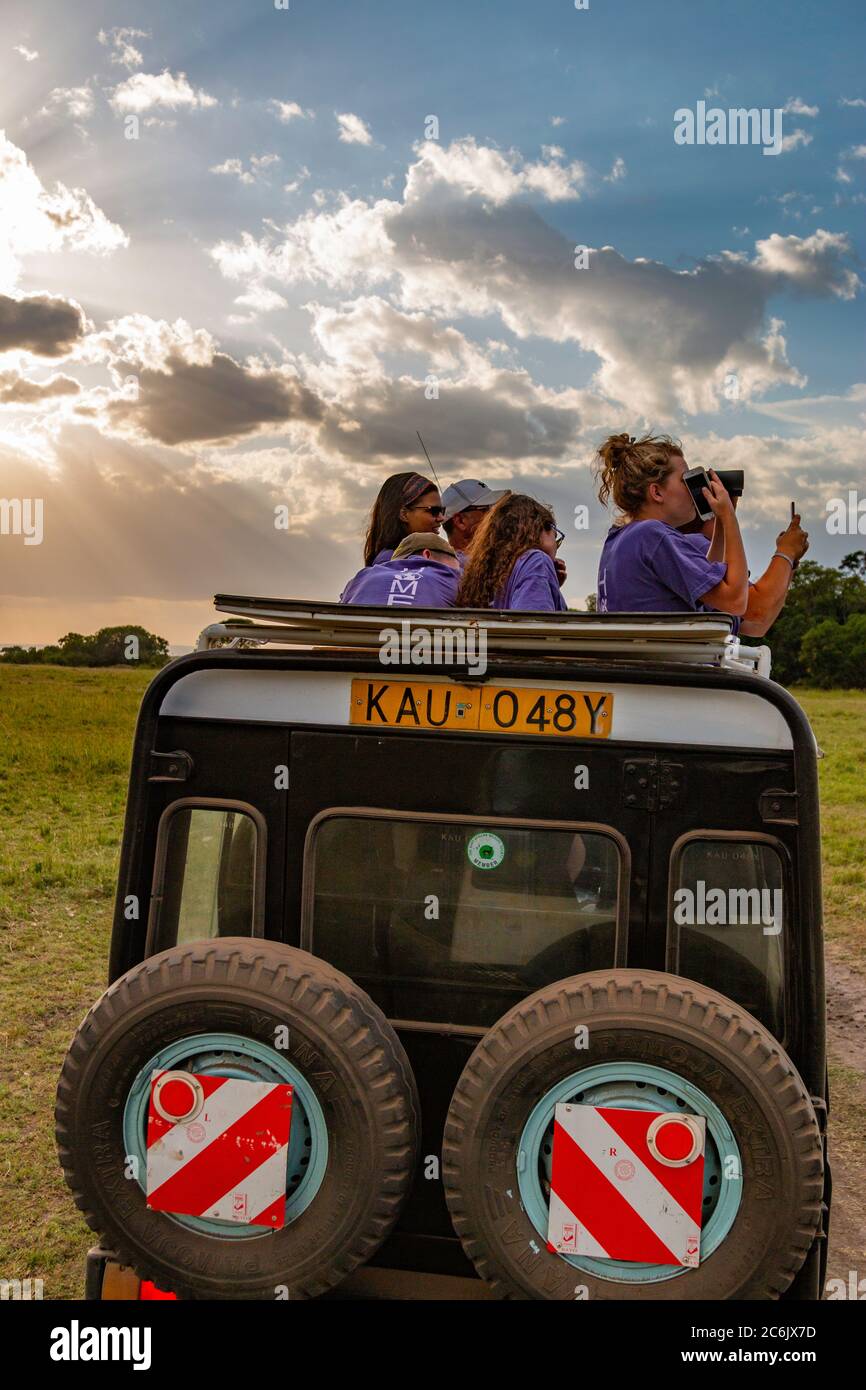 Besucher des Maasai Mara National Reserve beobachten die Tierwelt und machen Fotos durch das Beobachtungsdach ihres Safarifahrzeugs Stockfoto