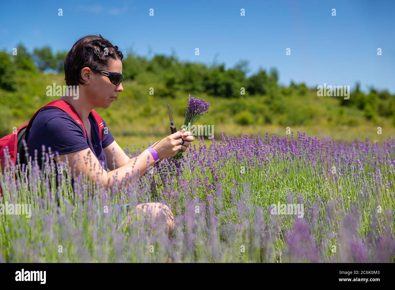 Frau mit einem Lavendelstrauß im Lavendelfeld Stockfoto