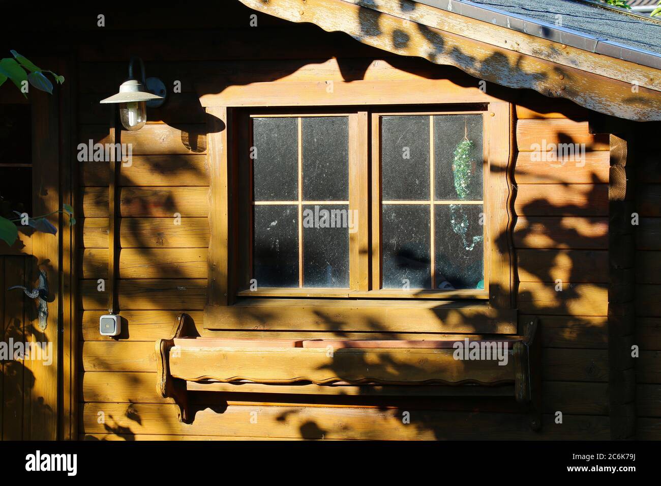 Blick auf den alten deutschen Holzgartenschuppen mit schmutzigen Fenstern in der Abendsonne und Schatten der Pflanzen im Garten - Deutschland Stockfoto