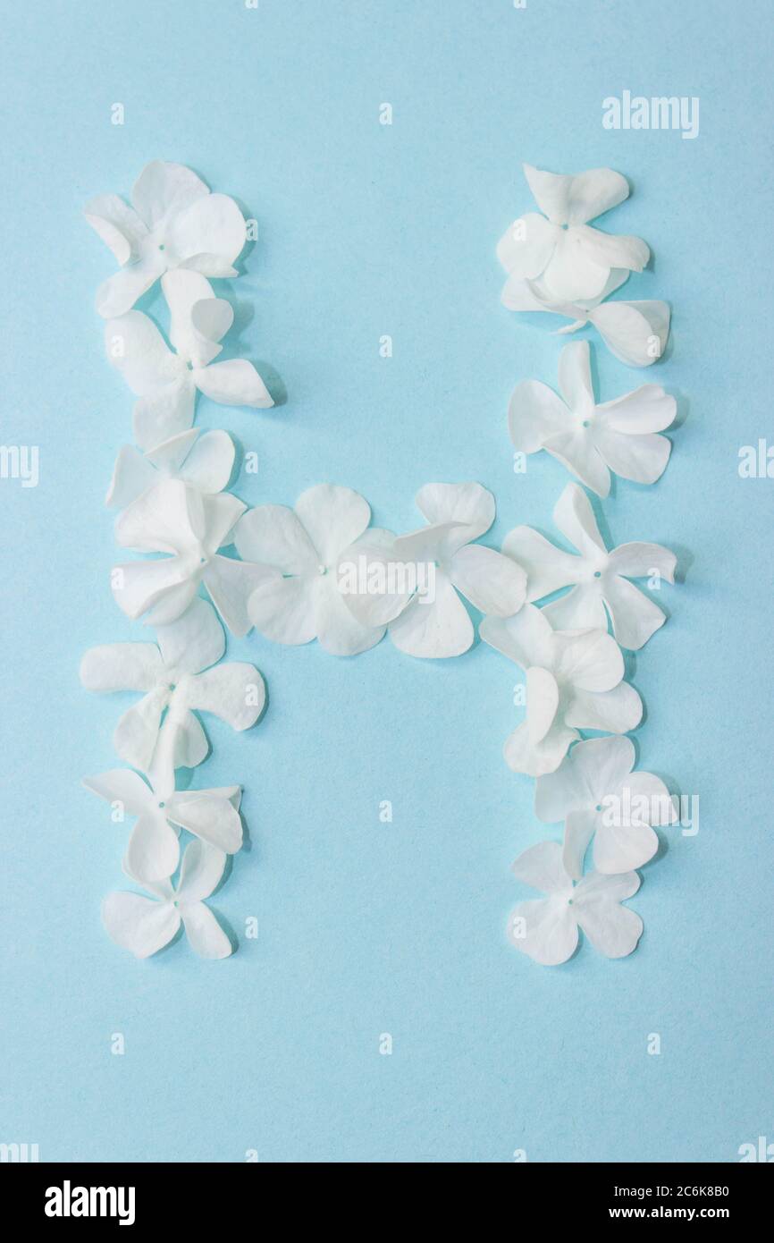 Blumenalphabet - H. Brief aus lebendigen Blumen auf hellblauem Hintergrund Stockfoto
