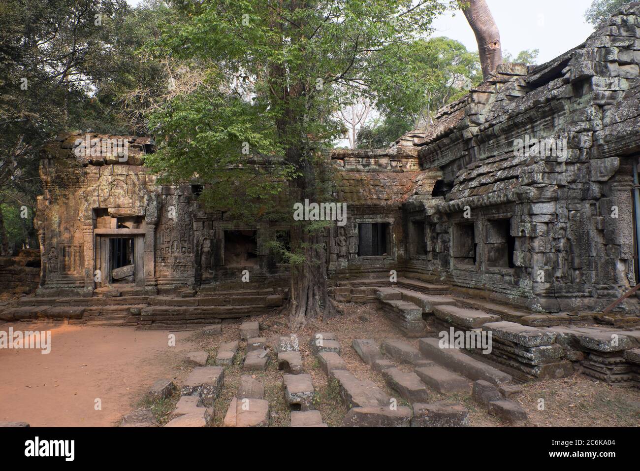 Foto des ⁨Ta Prohm Tempels in Siem Reap Kambodscha Stockfoto