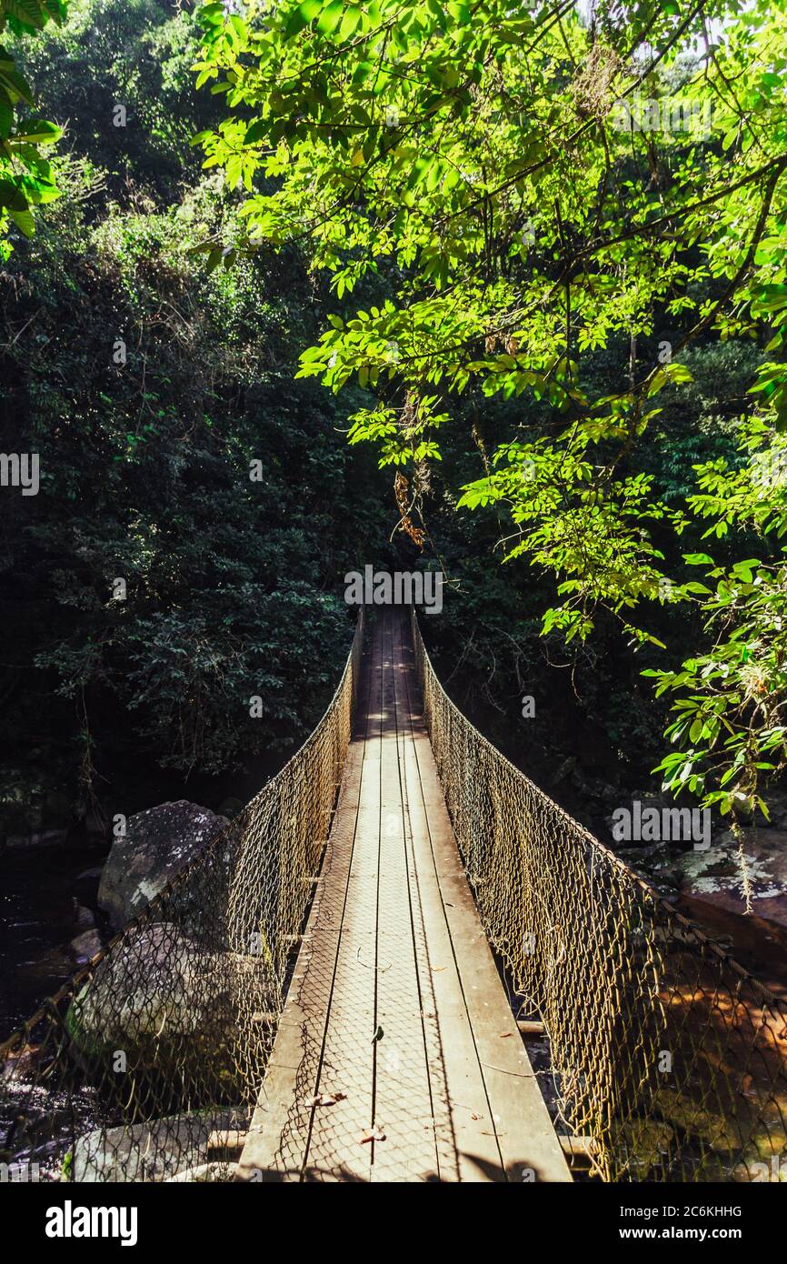 Brücke über einen Bach in einem tropischen Wald in Ilhabela, São Paulo, Brasilien Stockfoto Brücke über einen Bach in einem tropischen Wald in Ilhabela, São Paulo, Brasilien Stockfoto