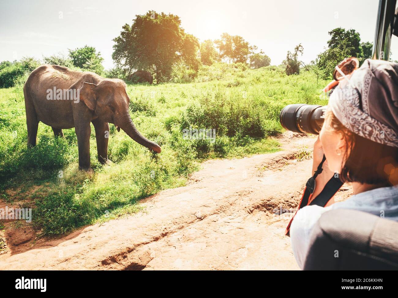 Fotografin macht ein Foto mit professioneller Kamera mit Teleobjektiv von touristischen Fahrzeug auf tropische Safari im National Nature Park U Stockfoto