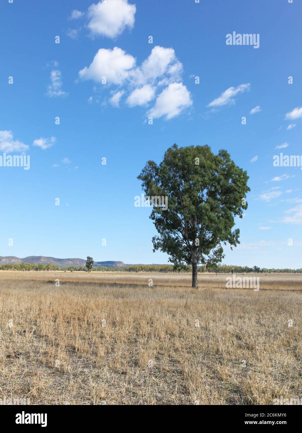 Ländliche Landschaft entlang des Carnarvon Highway im Zentrum von Queensland, Australien Stockfoto