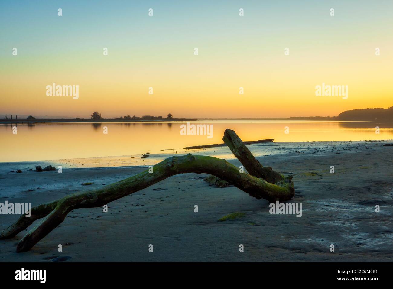 Ein Stück Treibholz am Ufer des Coquille River in Bandon, Oregon bei Ebbe bei Sonnenuntergang. Stockfoto