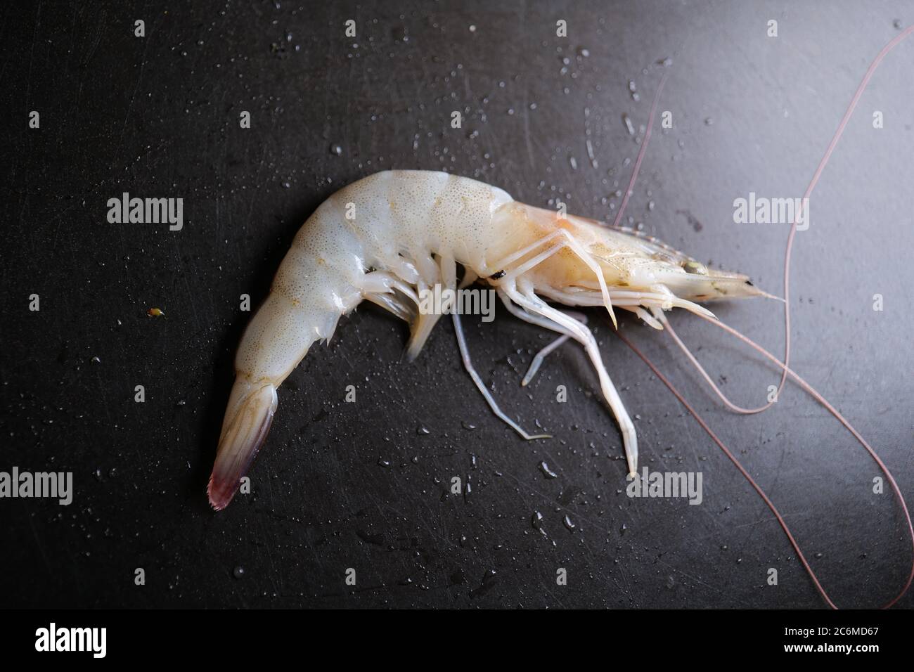 Garnelen auf schwarzem Teller mit Wassertropfen Stockfoto