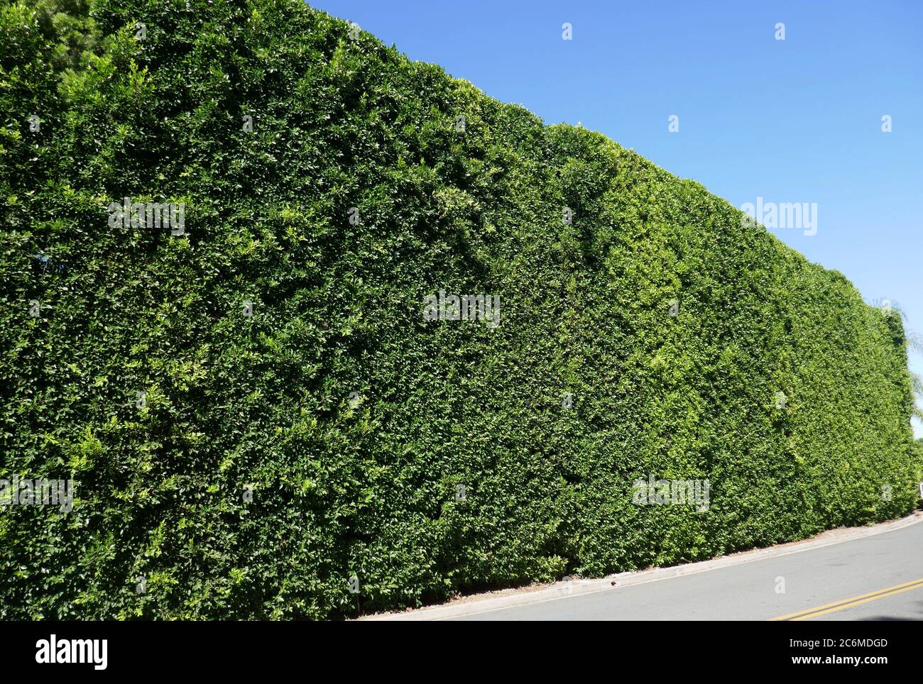 Beverly Hills, California, USA 10. Juli 2020 EINE allgemeine Sicht der Atmosphäre von Judy Garlands ehemaligem Wohnsitz am 1013 Angelo Drive am 10. Juli 2020 in Beverly Hills, Kalifornien, USA. Foto von Barry King/Alamy Stockfoto Stockfoto