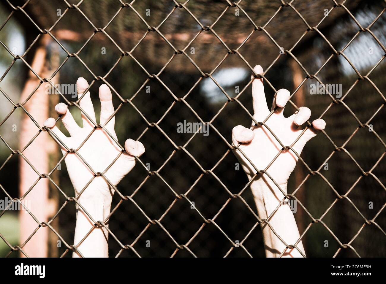 Gebleicht gefiltertes Bild von Händen in verzweifeltem Griff auf Netz verdrahteten Zaun, symbolisiert Gefangenschaft, hoffnungslos, Entführung, Kampf und gestresste Person. Stockfoto