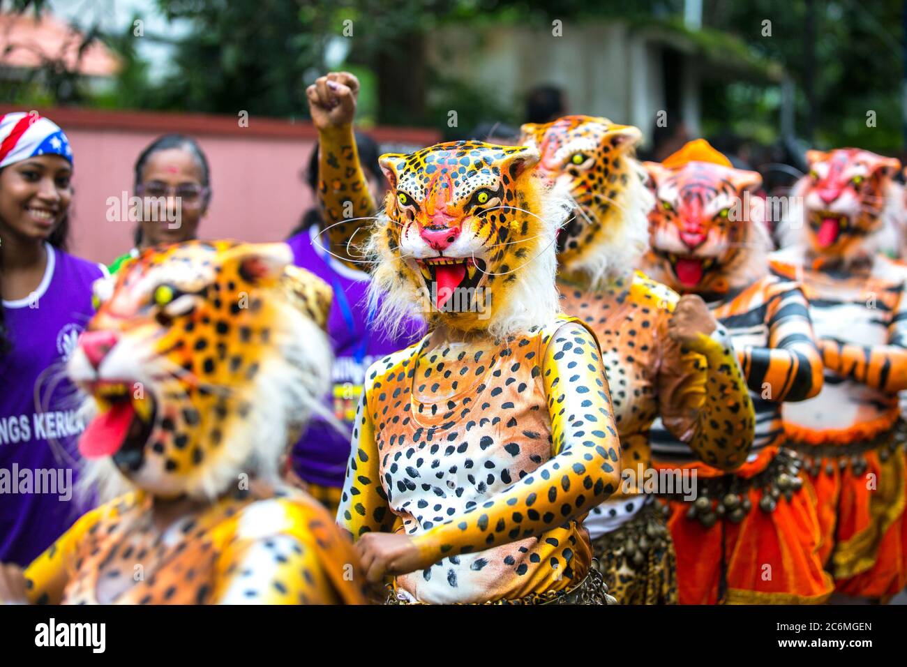 Pulikkali oder Tiger tanzen Darsteller aus den Straßen von Thrissur, Kerala, Indien während Onam Feier Stockfoto