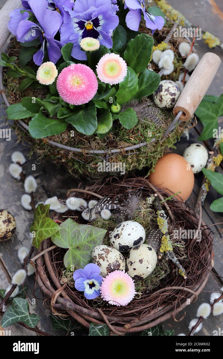 osterdekoration mit osternest und Frühlingsblumen Stockfoto